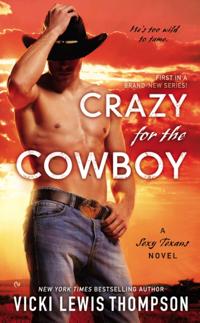 A Sexy Texans Novel