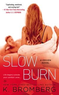 A Driven Novel