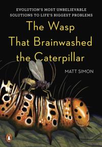 Wasp That Brainwashed the Caterpillar