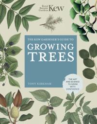 Kew Experts