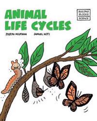 Animal Life Cycles