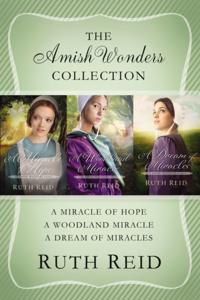 The Amish Wonders Series
