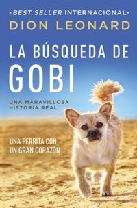 Finding Gobi