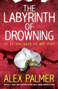 Labyrinth of Drowning