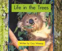 Springboard Lvl 8b: Life in the Trees