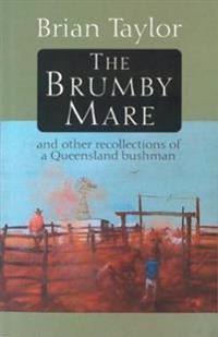 Brumby Mare