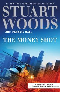 A Teddy Fay Novel