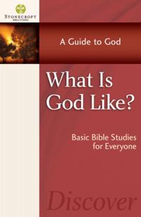 Stonecroft Bible Studies