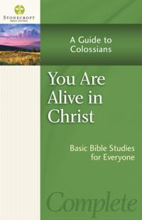 Stonecroft Bible Studies