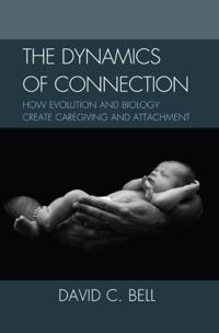 Dynamics of Connection