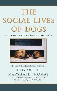 Social Lives of Dogs