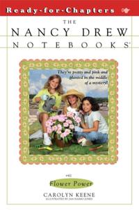 Nancy Drew Notebooks
