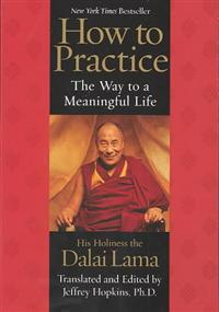 How to Practice: The Way to a Meaningful Life