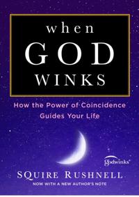 The Godwink Series