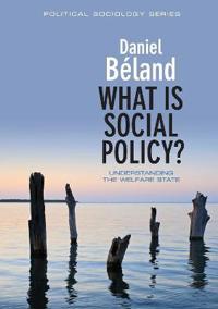Bokomslag for "What is Social Policy?"