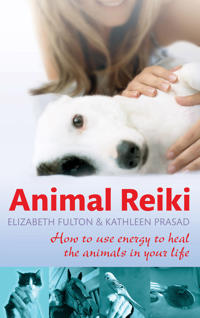 Animal reiki - how to use energy to heal the animals in your life