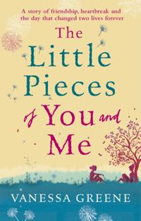 Little Pieces of You and Me
