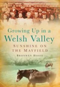 Growing Up in a Welsh Valley: Sunshine on the Mayfield