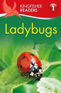 Kingfisher Readers: Ladybirds (Level 1: Beginning to Read)