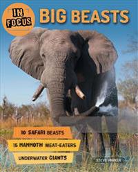 In Focus: Big Beasts