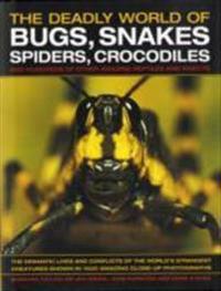 The Deadly World of Bugs, Snakes, Spiders, Crocodiles and Hundreds of Other Amazing Reptiles and Insects