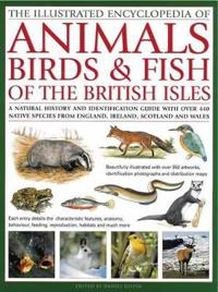 Illustrated Encyclopedia of Animals, Birds and Fish of the British Isles