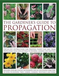 Gardener's Guide to Propagation
