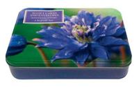 Sensational Flowers Box of Cards