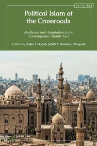Bokomslag för "Political Islam at the Crossroads"