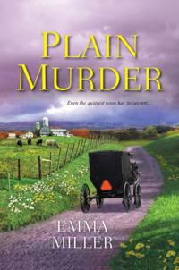 A Stone Mill Amish Mystery