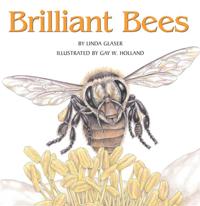 Brilliant Bees