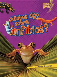 ¿Sabes Algo Sobre Anfibios? (Do You Know about Amphibians?)