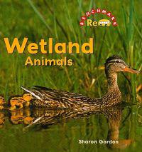 Wetland Animals