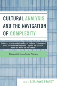 Cultural Analysis and the Navigation of Complexity