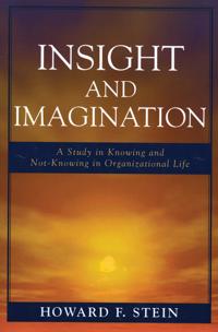 Bokomslag for "Insight and Imagination"