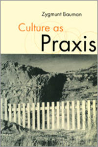 Bokomslag for "Culture As Praxis"