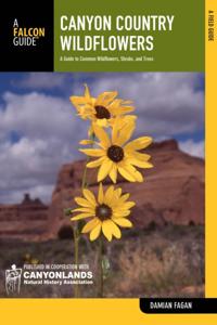 Wildflower Series