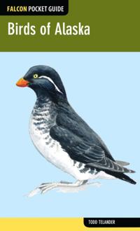 Falcon Pocket Guides