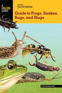 Basic Illustrated Series