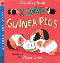 I Love Guinea Pigs