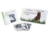 Simple wisdom of the household dog - an oracle