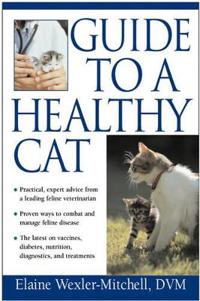 Guide to a Healthy Cat