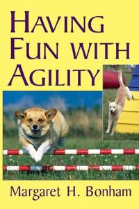 Having Fun with Agility without Competition