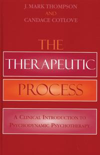 The Therapeutic Process