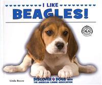I Like Beagles!