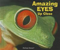 Amazing Eyes Up Close