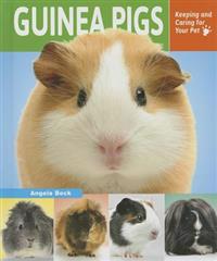 Guinea Pigs