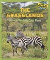 The Grasslands: Discover This Wide Open Biome