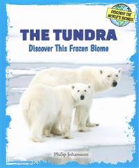 The Tundra: Discover This Frozen Biome