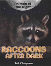 Raccoons After Dark